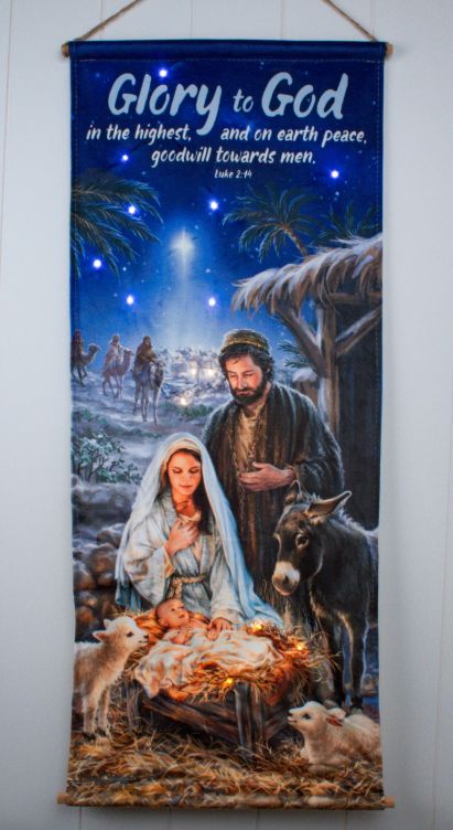 LED Banner, A Savior is Born