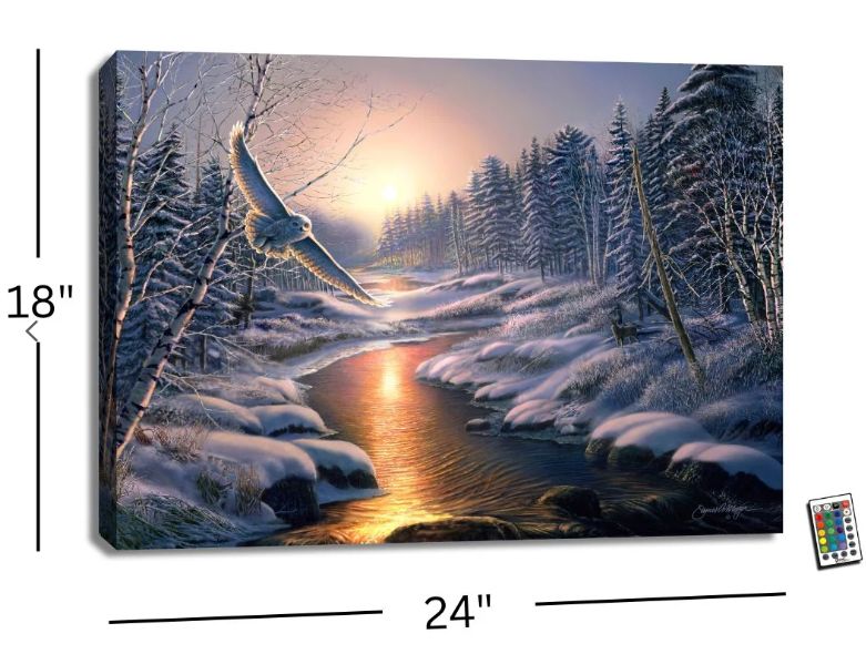 LED Canvas, Solstice Snowy Owl Backlit w/Remote