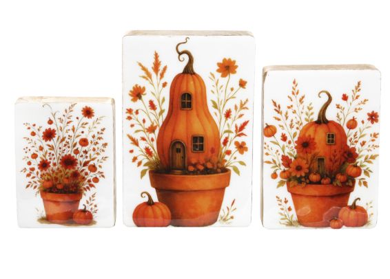 Pumpkin House Blocks Set/3