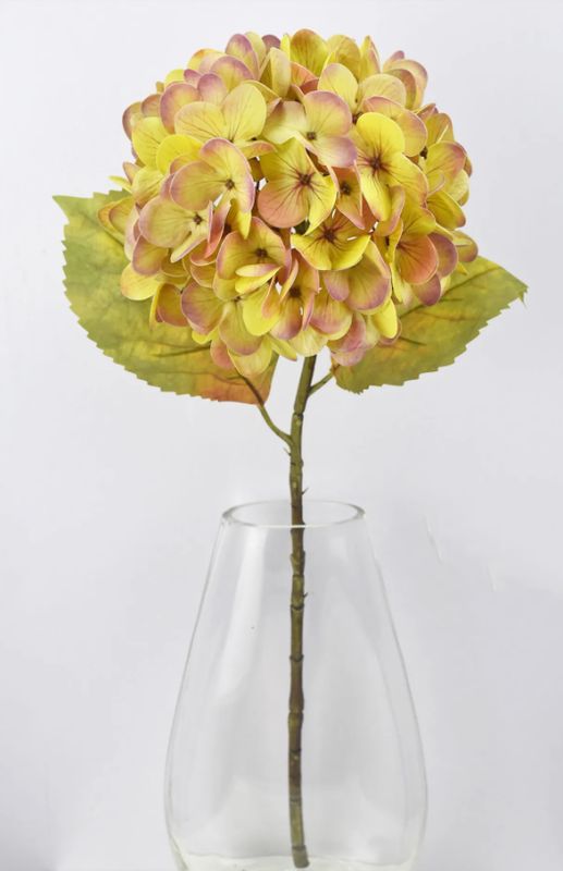 Stem, 22.5" Peach Hydrangea