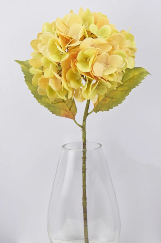 Stem, 22.5" Cream/Green Hydrangea