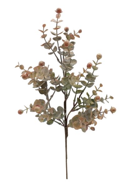 Pick, LG Fall Eucalyptus Orange Berry