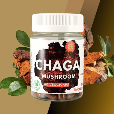 Chaga Mushroom 100% Pure 60 Capsules: Nature&#39;s Potent Healer