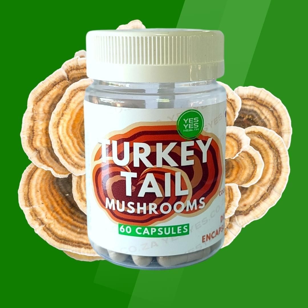 Turkey Tail Mushrooms: Unlock Your Vitality - 60 Caps Turkey Tail Mushrooms: Unlock Your Vitality - 60 Caps