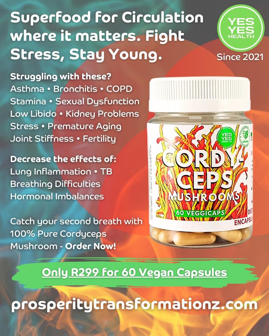 CordyCeps - 60 Capsules