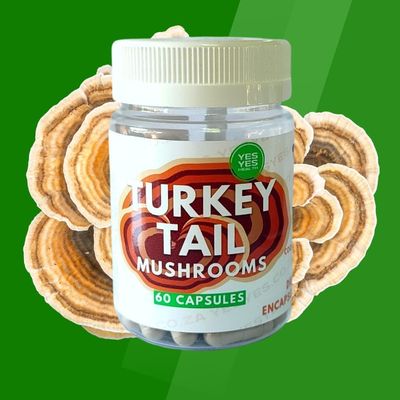 Turkey Tail Mushrooms: Unlock Your Vitality - 60 Caps