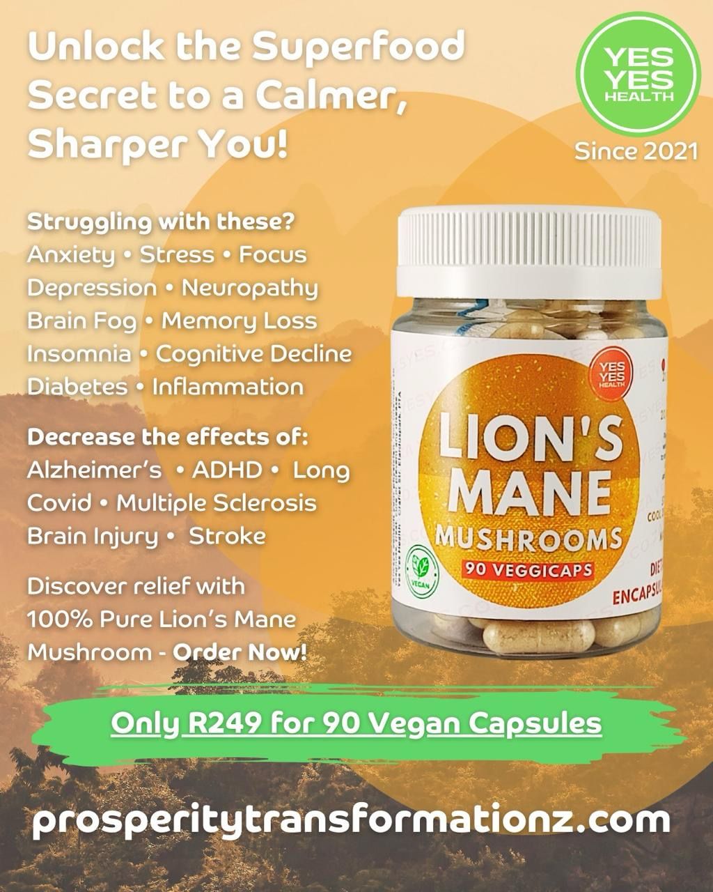 Lion's Mane Mushroom Capsules