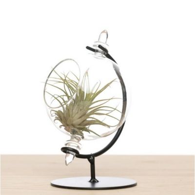 Kleine globe met airplantje