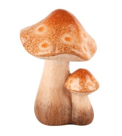 Duo paddenstoelen