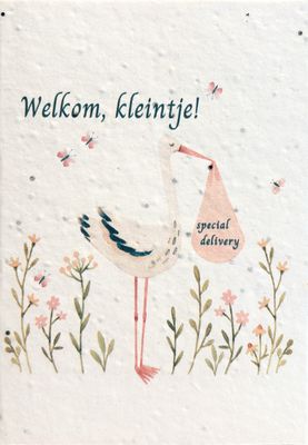Wenskaart op groeipapier : 'Geboorte'