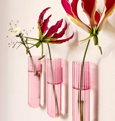 Muurbloempjes (Set van 3 XL vaasjes)