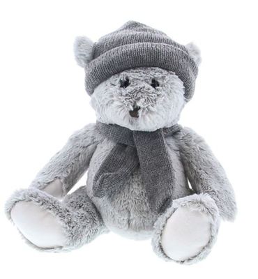 Winterse teddybeer