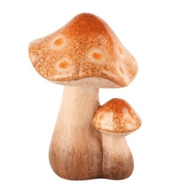 Duo paddenstoelen