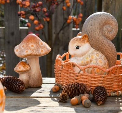 Duo paddenstoelen