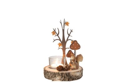 Herfstgezelligheid in huis