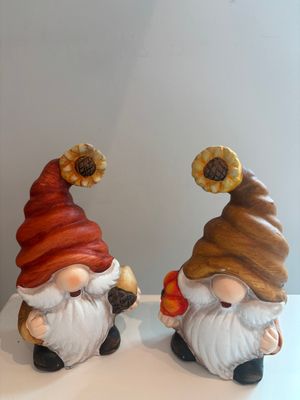Herfstgnoompje (2 opties)