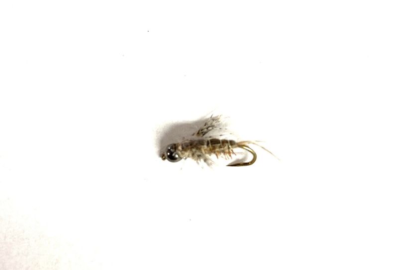 Bead Head Anitomical Callibaetis