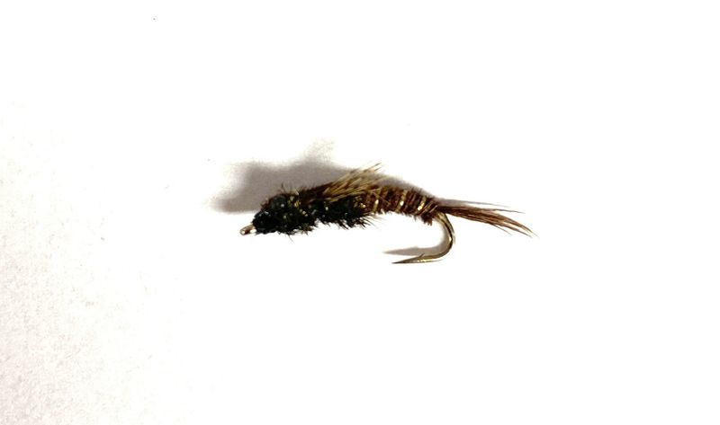 Trout Master Pheasant Tail