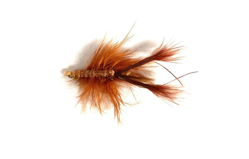 Micro Crayfish