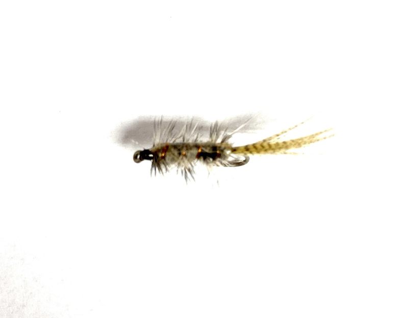 Rickards Callibaetis Nymph