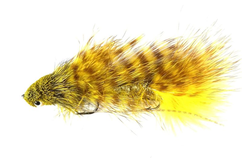 Galloup&#39;s Mini Dungeon Yellow