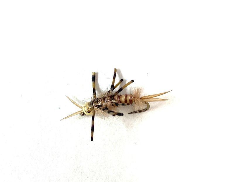 Tungsten Head Yellow Sally