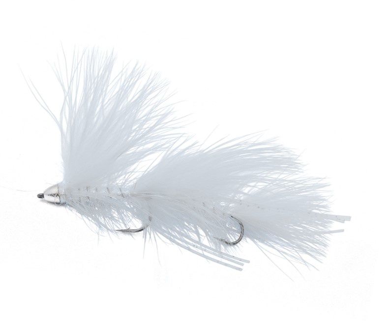 Galloup&#39;s Peanut Envy White