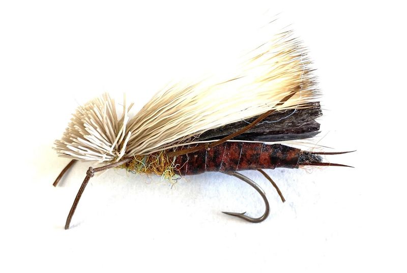 Dog Puke Salmon Fly