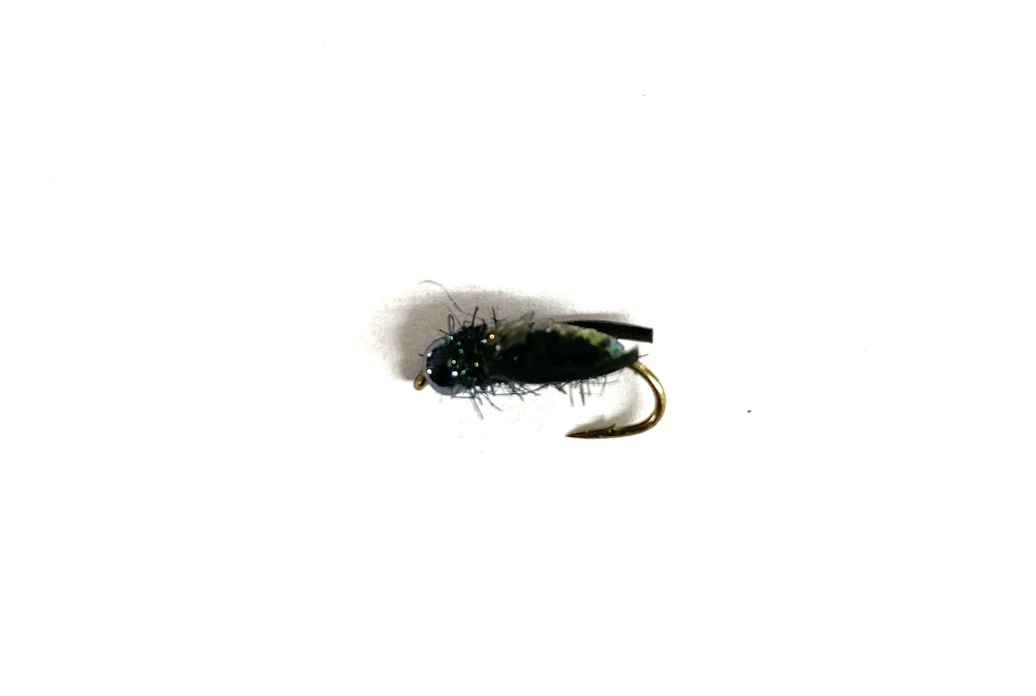 T's Water Boatman