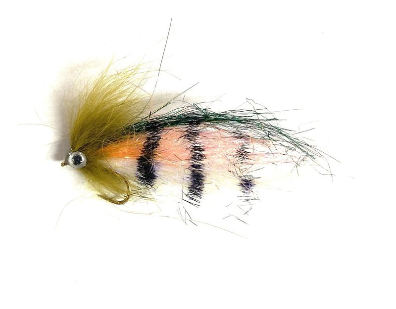 Senyo&#39;s Trout Parr