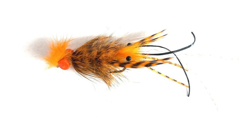 Whitlock&#39;s Near Nuff Crayfish Orange