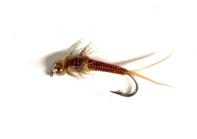 Pennington&#39;s D-Rib Golden