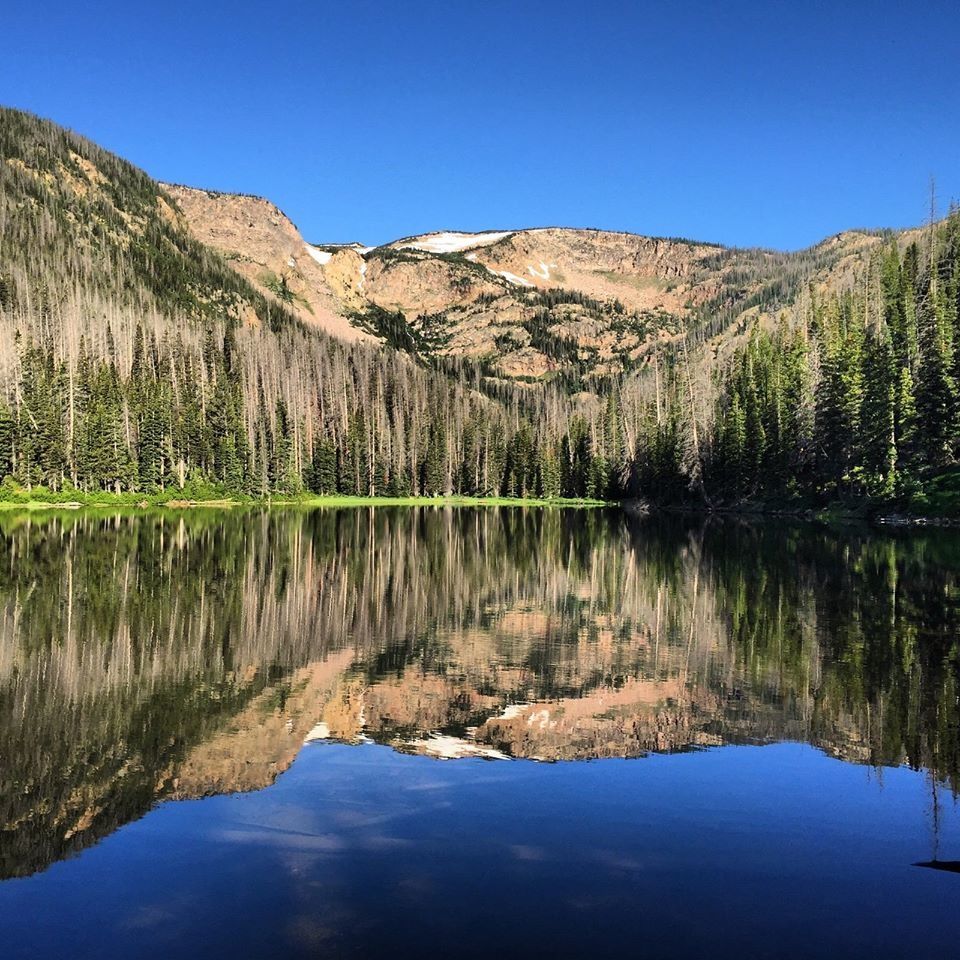 High Country Trout Snacks