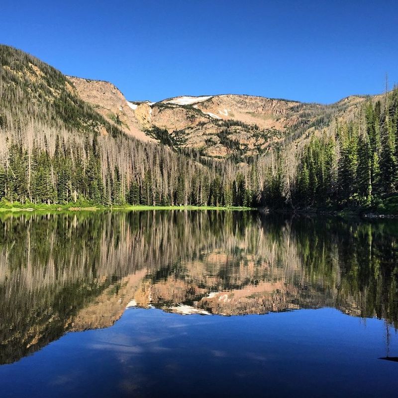 High Country Trout Snacks