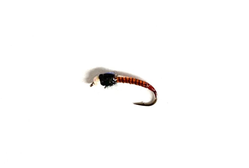 Jumbo JuJu Zebra Chironomid
