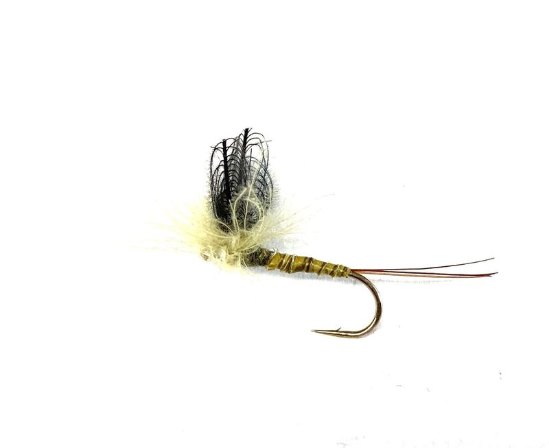 CDC Green Drake