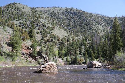 North Platte Trout Snacks