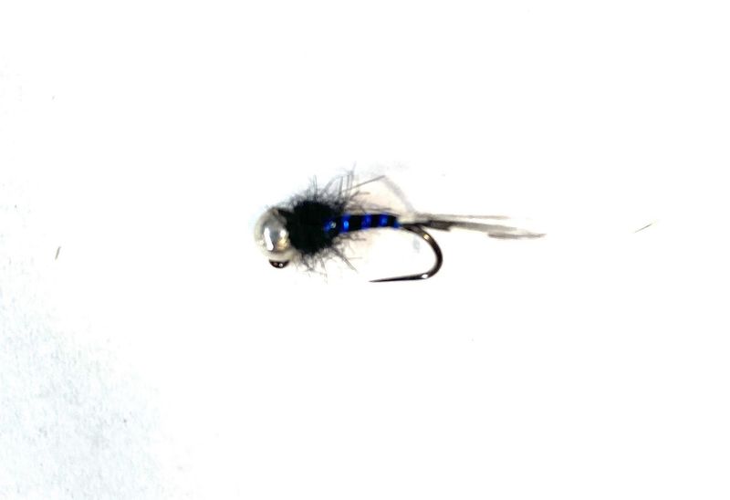 Parrot&#39;s Blue Devil Jig