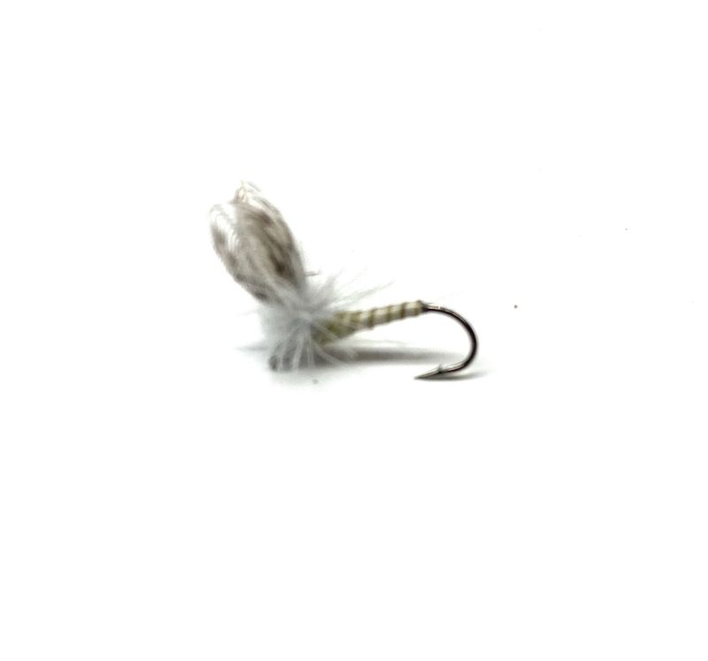 Parachute CDC Callabaetis