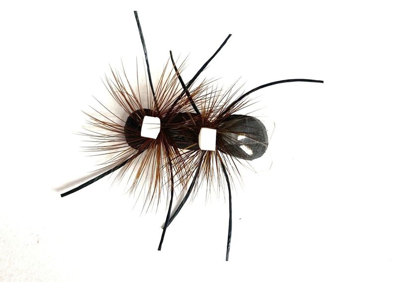 Green River Flying Ant