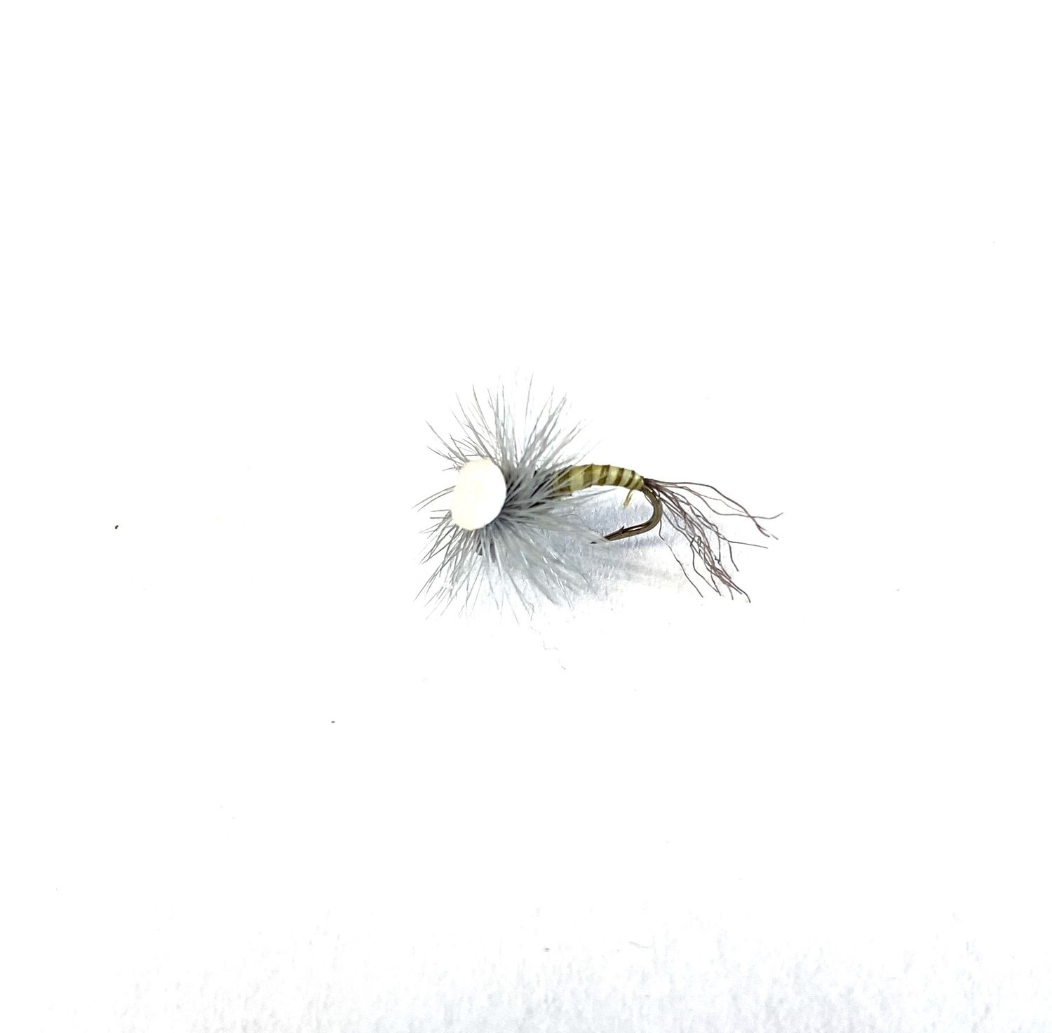 Brook&#39;s Sprout Baetis