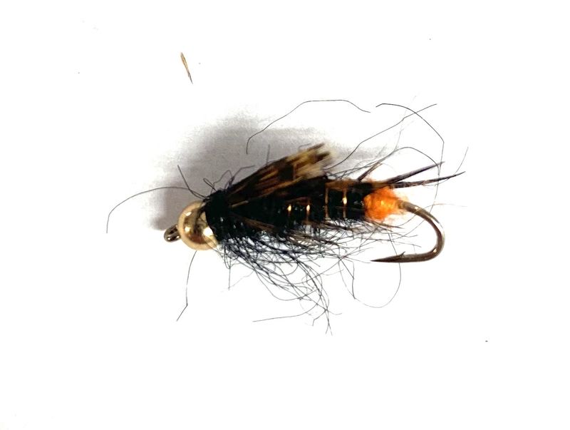 Hot Butt Stonefly