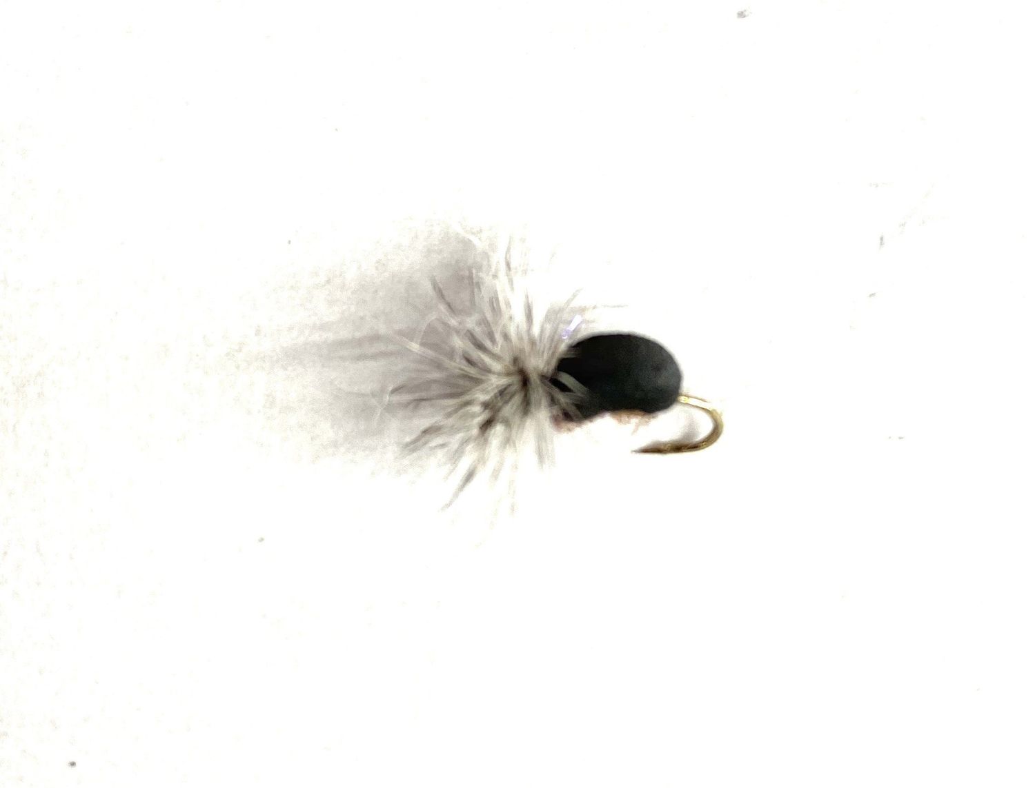 Splitsville Beetle