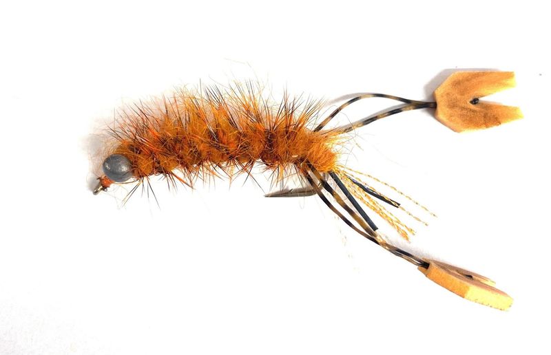 Ritts Fighting Crayfish Rust