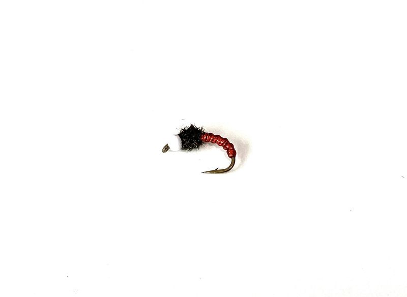Chironocones