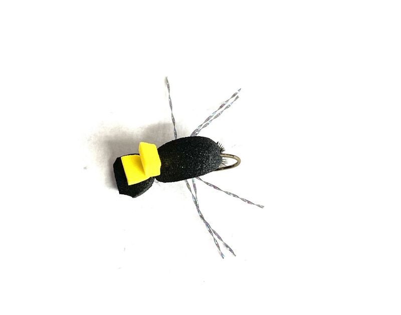 Foam Beetle 