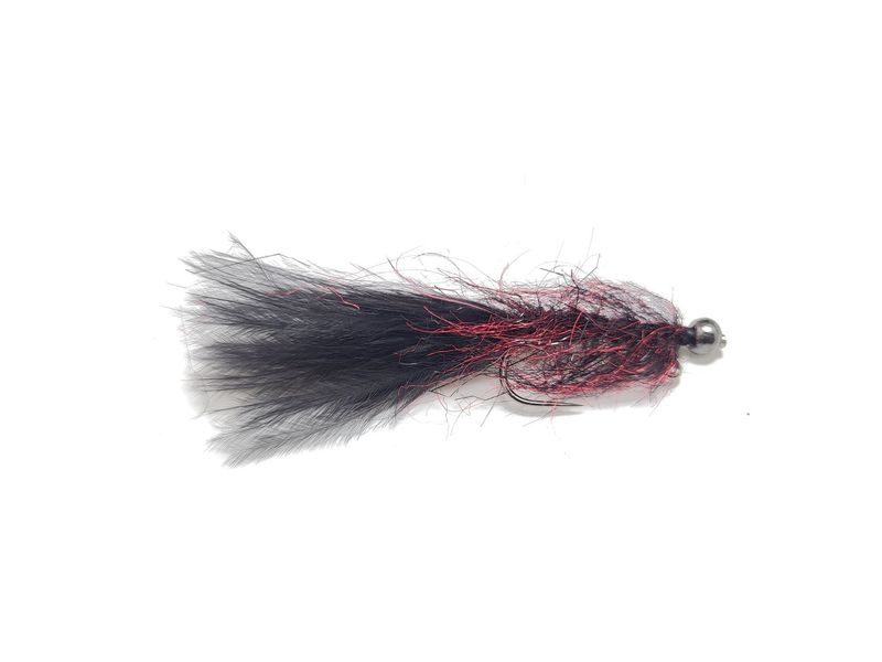 Pyramid Beach Leech
