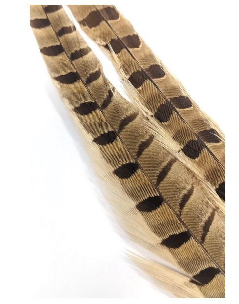 Pheasant Tail