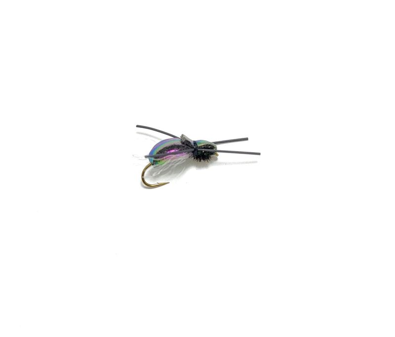 Flying Loco Beetle #12