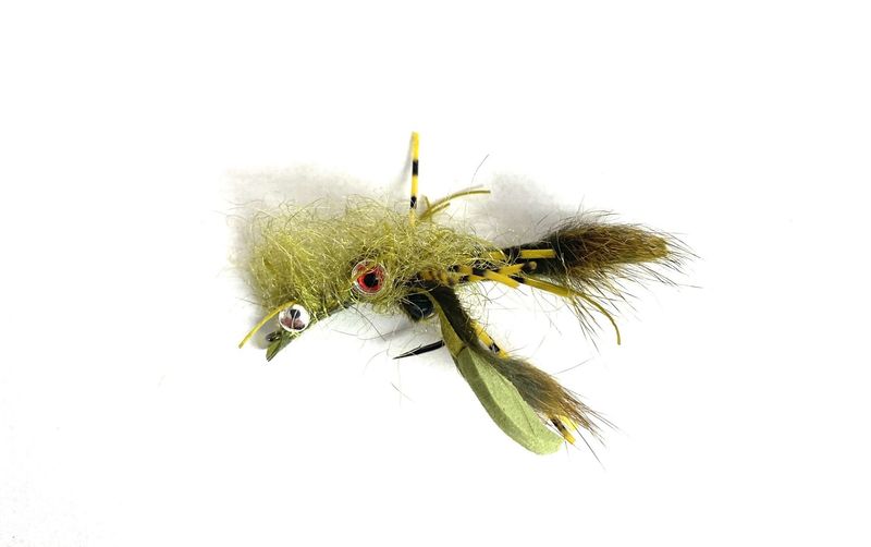 Come at me Crayfish Olive #4